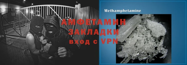 стаф Аркадак