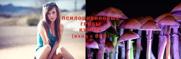 spice Армянск