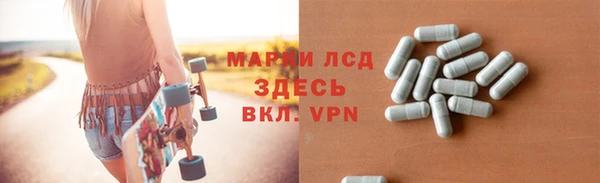 стаф Аркадак