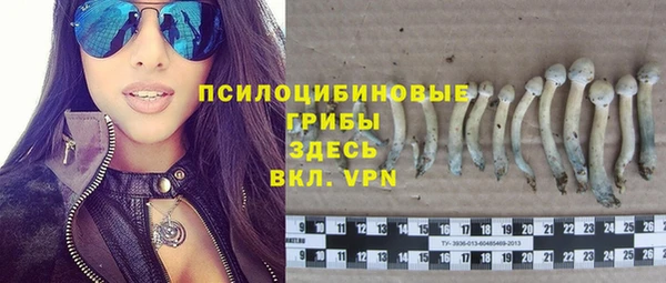 мескалин Арсеньев