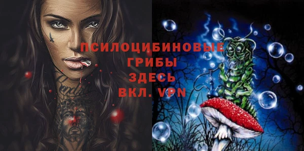 мескалин Арсеньев